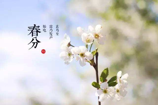 春風(fēng)十里，不及我在桃園等你